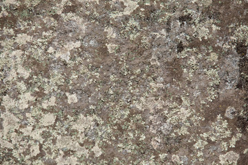 Naklejka premium background image