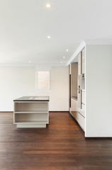 beautiful empty apartment, hardwood floor, modern kitchen