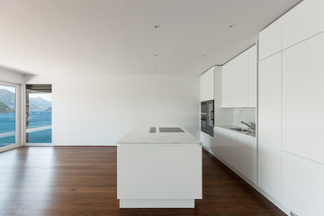 beautiful empty apartment, hardwood floor, modern kitchen