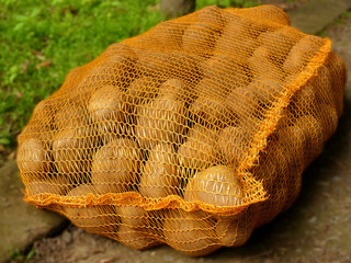 Sack Kartoffeln