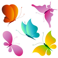 butterflies design