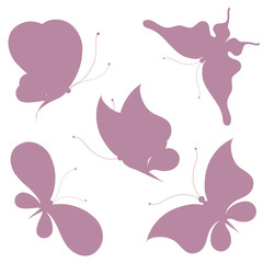 butterflies design