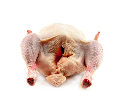 grude hen