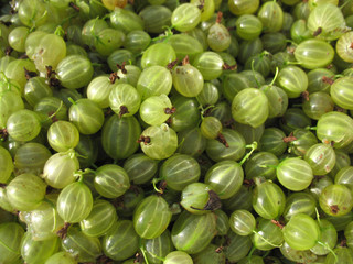 gooseberries