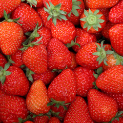 fresh strawberry