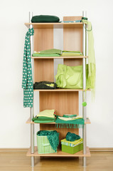 Tidy wardrobe with green clothes nicely arranged on a shelf.