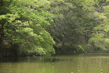 The image of beautiful scenery