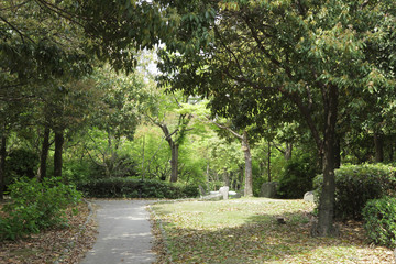 The image of beautiful scenery