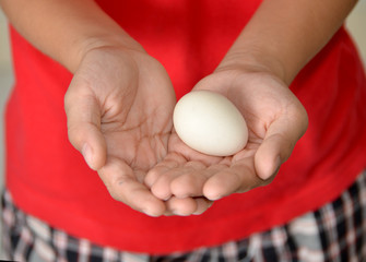 Small egg in hand