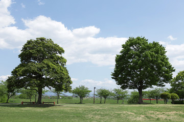 The image of beautiful scenery