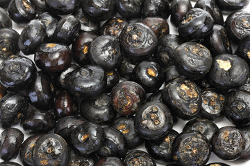 Chinesische Wasserkastanien ( Eleocharis dulcis )