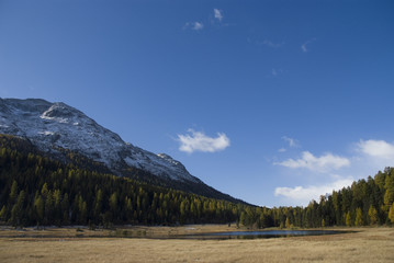 The image of holidays