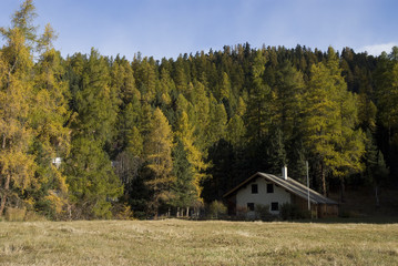 The image of holidays