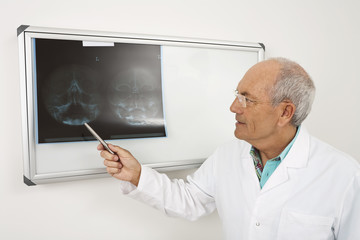 Deutschland,München,Arzt untersuchen ein x- ray-Bericht