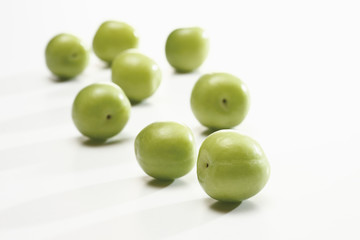 Kirschpflaumen(Prunus cerasifera ) 