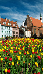 Medieval town in spring