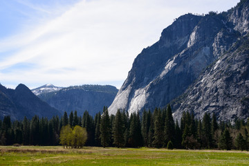 Mountain, Pine Trees and Sky, Yosemite National Park