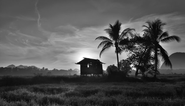 Rural landscape in black and white in the morning - Powered by Adobe