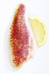 Rotbarsch Filet