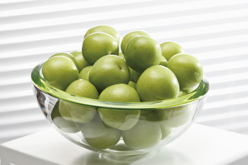 Kirschpflaumen(Prunus cerasifera ),"Kann Erik " in der Schüssel,close-up