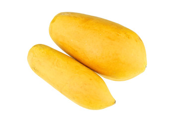 Orange papaya Hawaii species