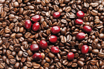 Frisch geröstete Kaffeebohnen