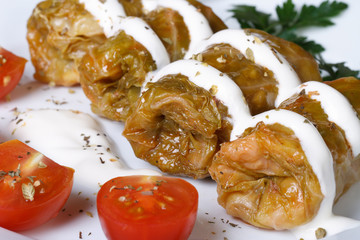 Hot cabbage rolls with sour cream on white plate macro