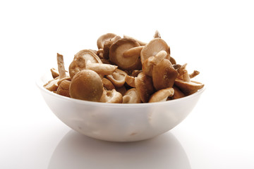 Shiitake-Pilze in der Schüssel
