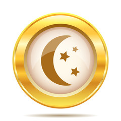 Moon icon