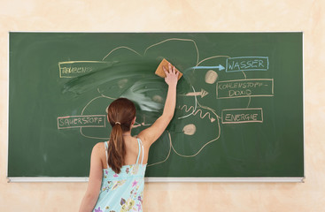Deutschland,Emmering,Girl (12-13) aus Text Reiben an Bord,Rückansicht