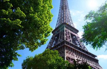 Paysage parisien avec la Tour Eiffel en fond