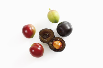 Früchte des Lorbeerkirsche (Prunus laurocerasus ),erhöhte Ansicht