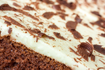 cake with chocolate chips