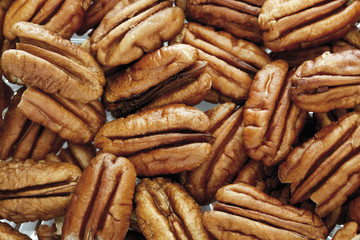 Pecan,close up