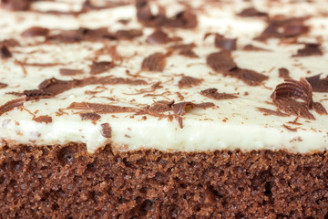 cake with chocolate chips