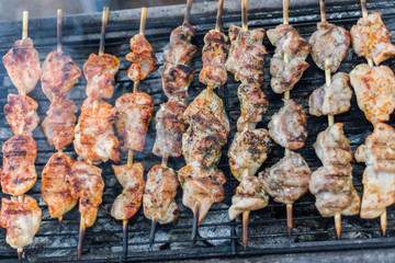 Chicken shashlik