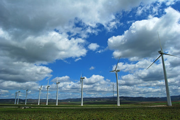 Fototapeta na wymiar Parque eólico, molinos, energía eólica, Cádiz