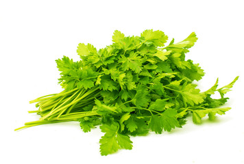 Bunch of ripe parsley