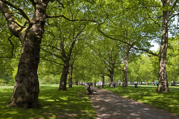 Green Park in London