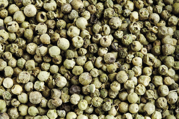 Grüner Pfeffer , close-up