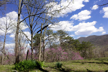 Obraz premium Outdoor Chapel