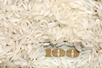 Rice grains on one hundred dollars