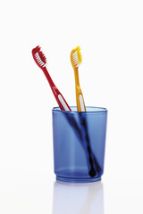 Zahnbürsten in Zahnbürstenhalter auf weißem Hintergrund