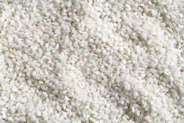 Milchreis, close-up