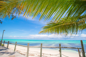 Fototapeta na wymiar Tropical beach with palms and white sand on Caribbean, Turks