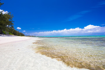 Ideal white beach in the Caribbean