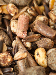 muesli background with black oats. for horse.macro