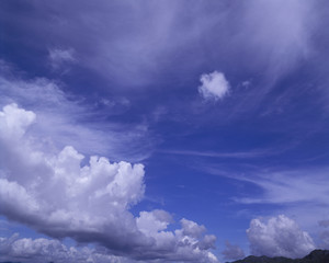 The image of beautiful nature