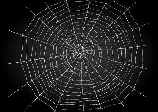 Illustration of spiderweb