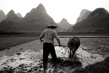 Fotobehang Rural Life © Rawpixel.com